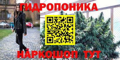 молекула духа Краснознаменск