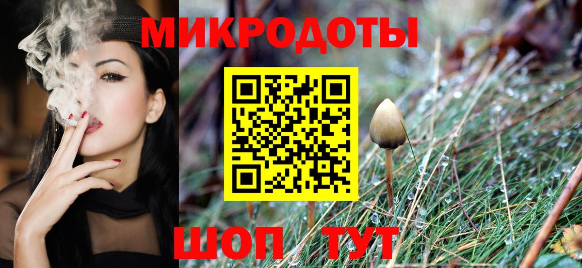 Галлюциногенные грибы мицелий Хасавюрт
