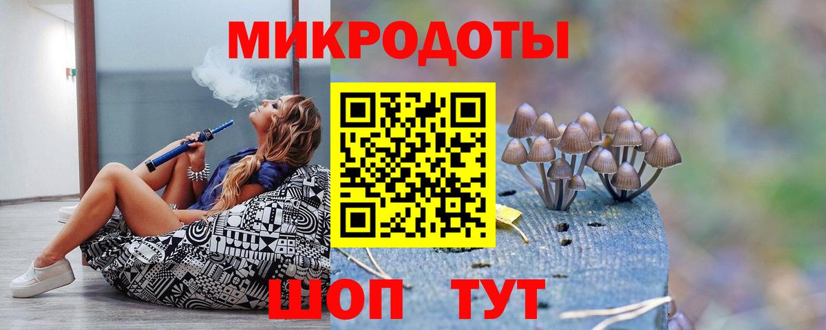 Псилоцибиновые грибы MAGIC MUSHROOMS  Псилоцибиновые грибы ЛСД  хочу наркоту  Хасавюрт  Вход с VPN 